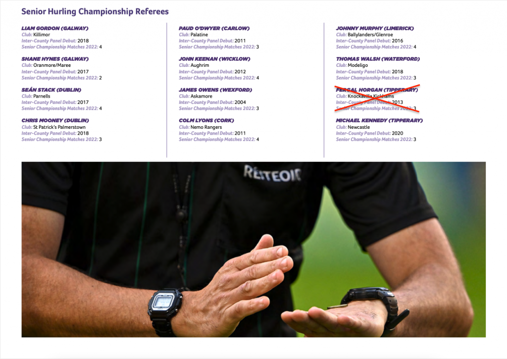 referees hurling GAA